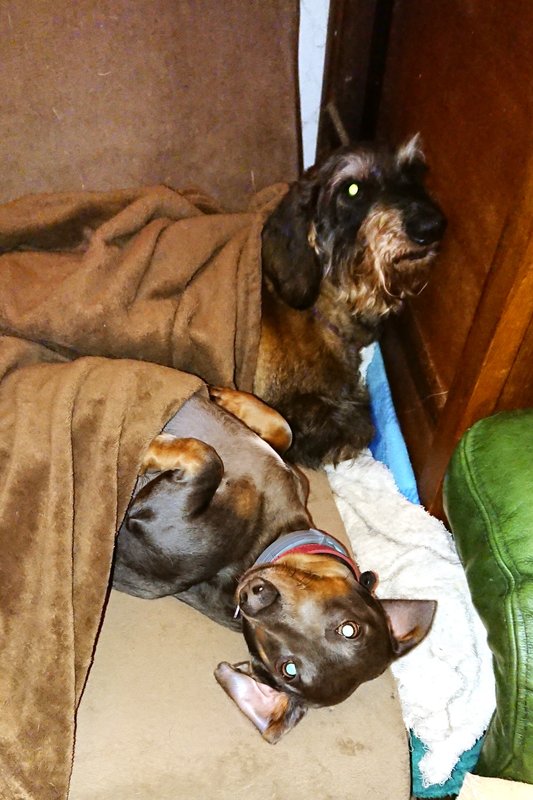 [Image: DSC-3610.jpg]