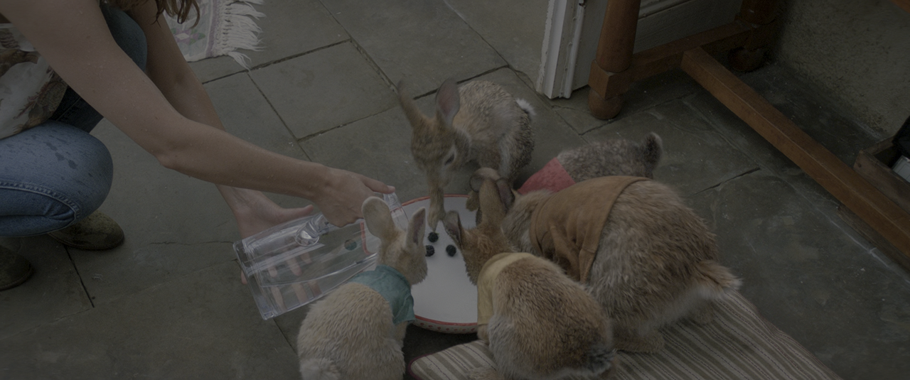 Peter Rabbit (2018) [BluRay Rip 2160p HEVC 10bit-HDR ITA-ENG DTS