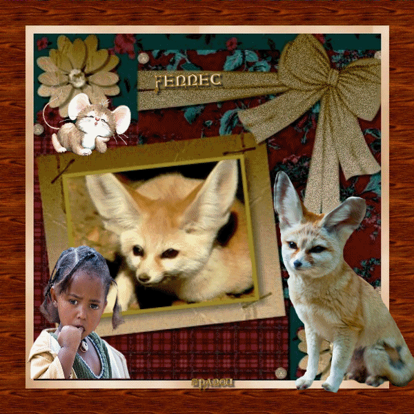 FENNEC-GIF