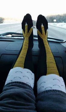 leg2