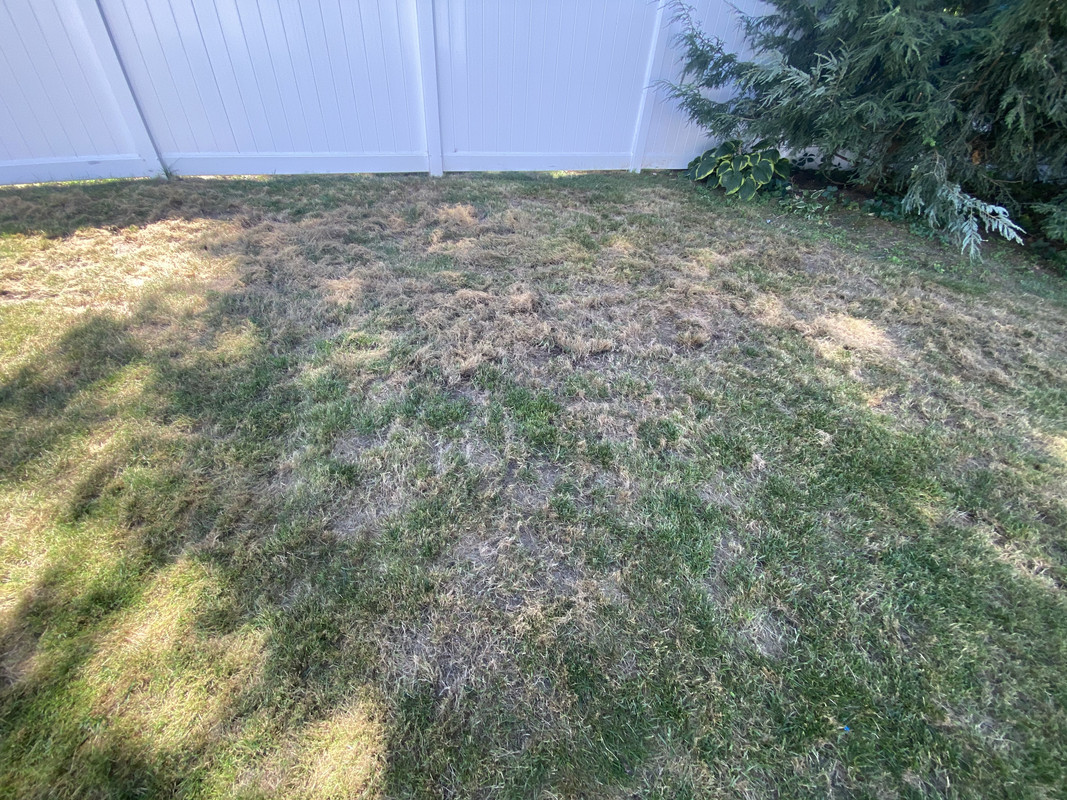 39EC6DEA-AB1A-4EEE-8754-28F62ABBA55F