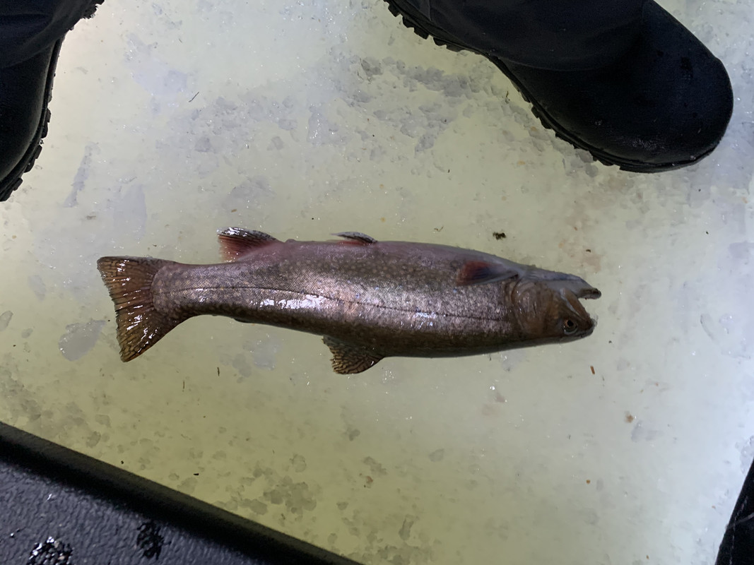 F530FB95-7CD3-49C0-9CD4-67CA79CB40C9