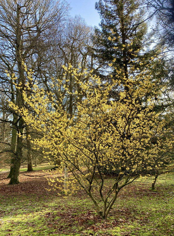 B27C302C-8C25-421E-BCF5-EA95EB725EDC