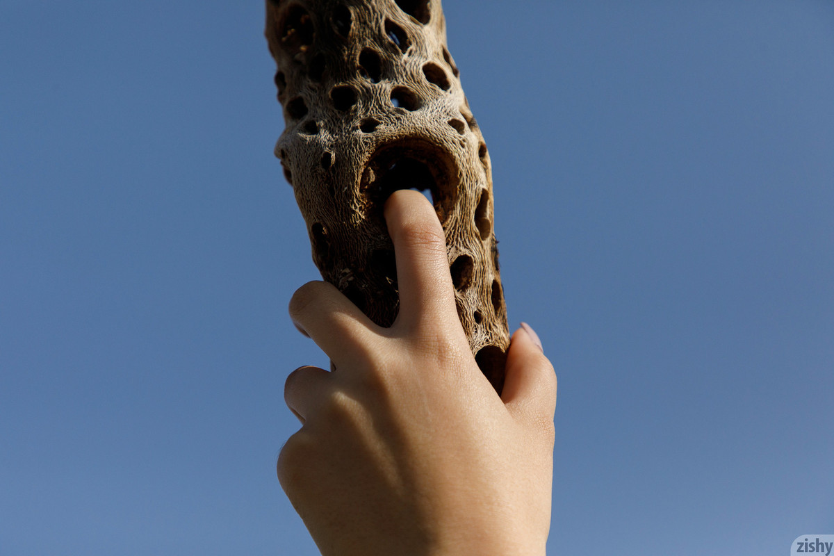 full_046_1411420726458117