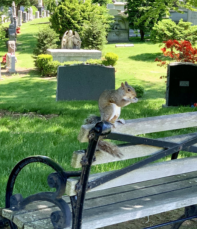 4AC0BB11-FC56-4D9D-8A01-0AF46E92A984