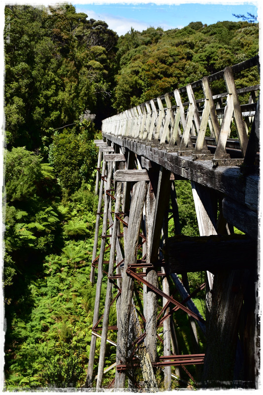 Fiordland NP: Humpridge Track (febrero 2021) - Escapadas y rutas por la Nueva Zelanda menos conocida (2)