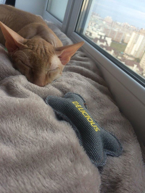 0A4466DC-BAB4-4DF4-A5C4-AF3D98FBDD6D