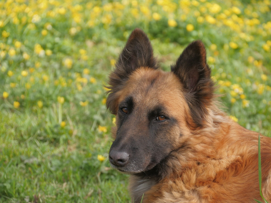 5D561A2D-27F7-472C-A306-84E81B7881CB