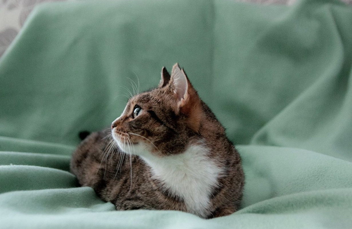 A216DD77-17C7-464E-933A-EA669687F2CA