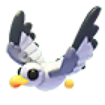Seagull