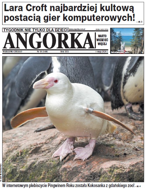 Angorka 18/2024