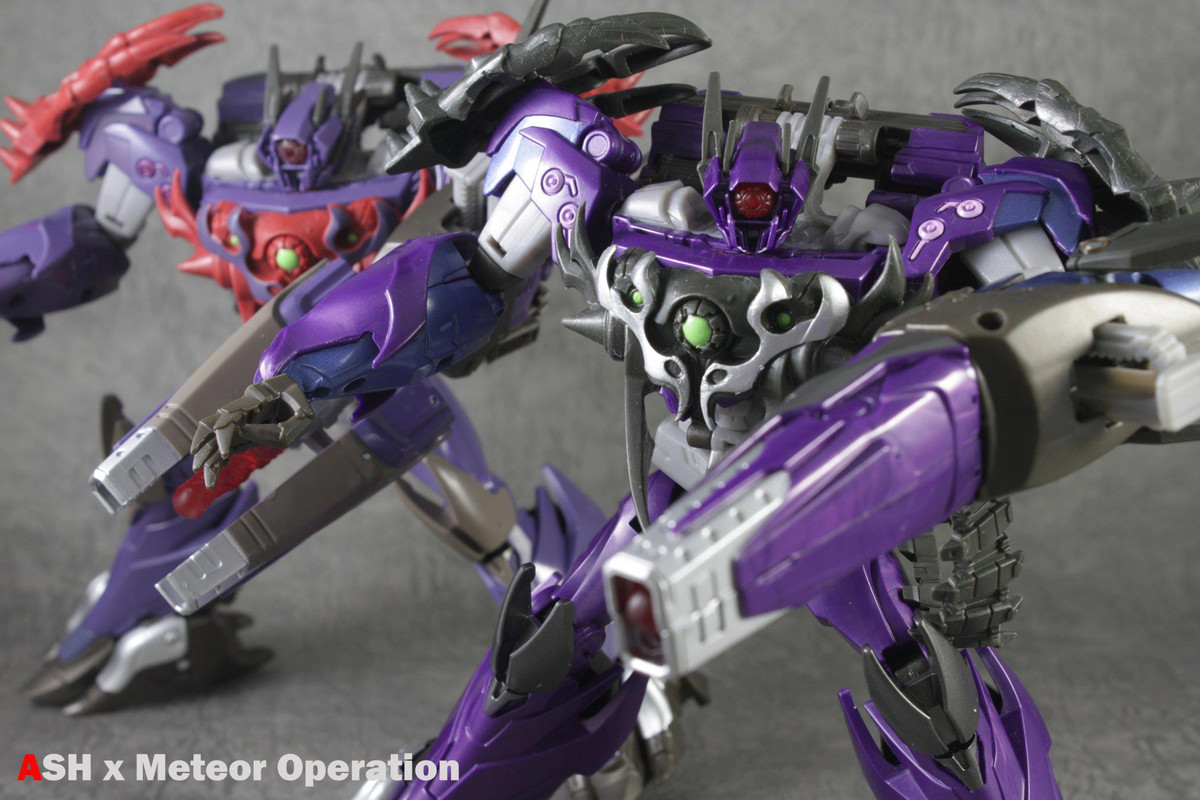 459626_321645231296222_1994506362_o