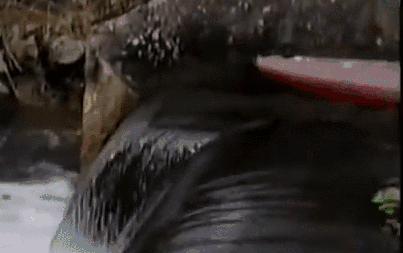 19 людей, у которых явно был день хуже, чем у тебя