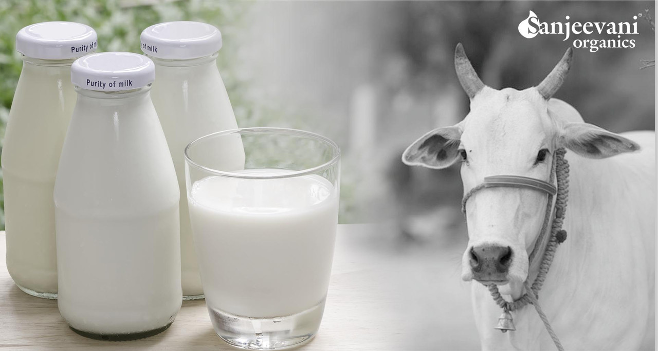 Why Sanjeevani Organic Dairy products (Milk)