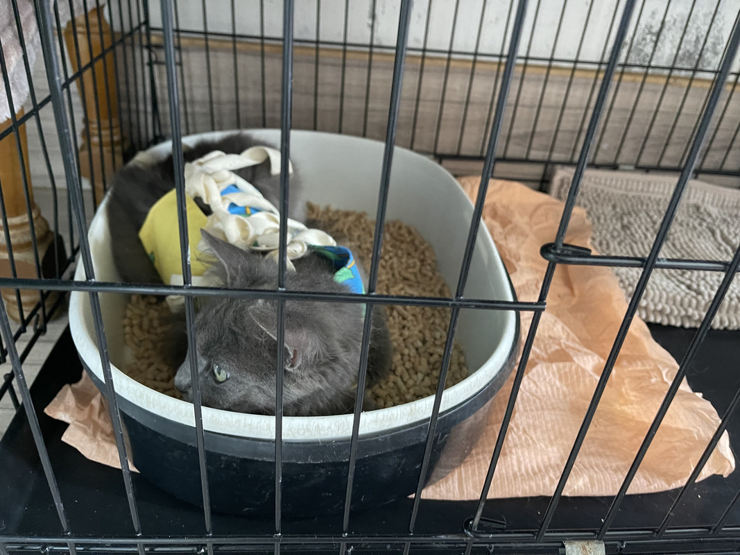 437D6044-33CC-4C6D-886E-5FCBCA48645E