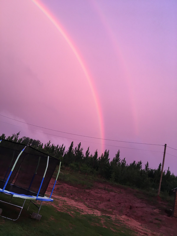 7B30F468-92CF-4EA0-9E02-C03E314CB9E8