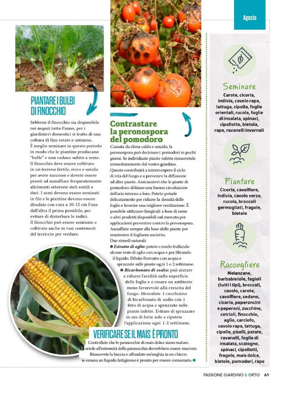 Pass Giar e Orto Lug 2025 (6)