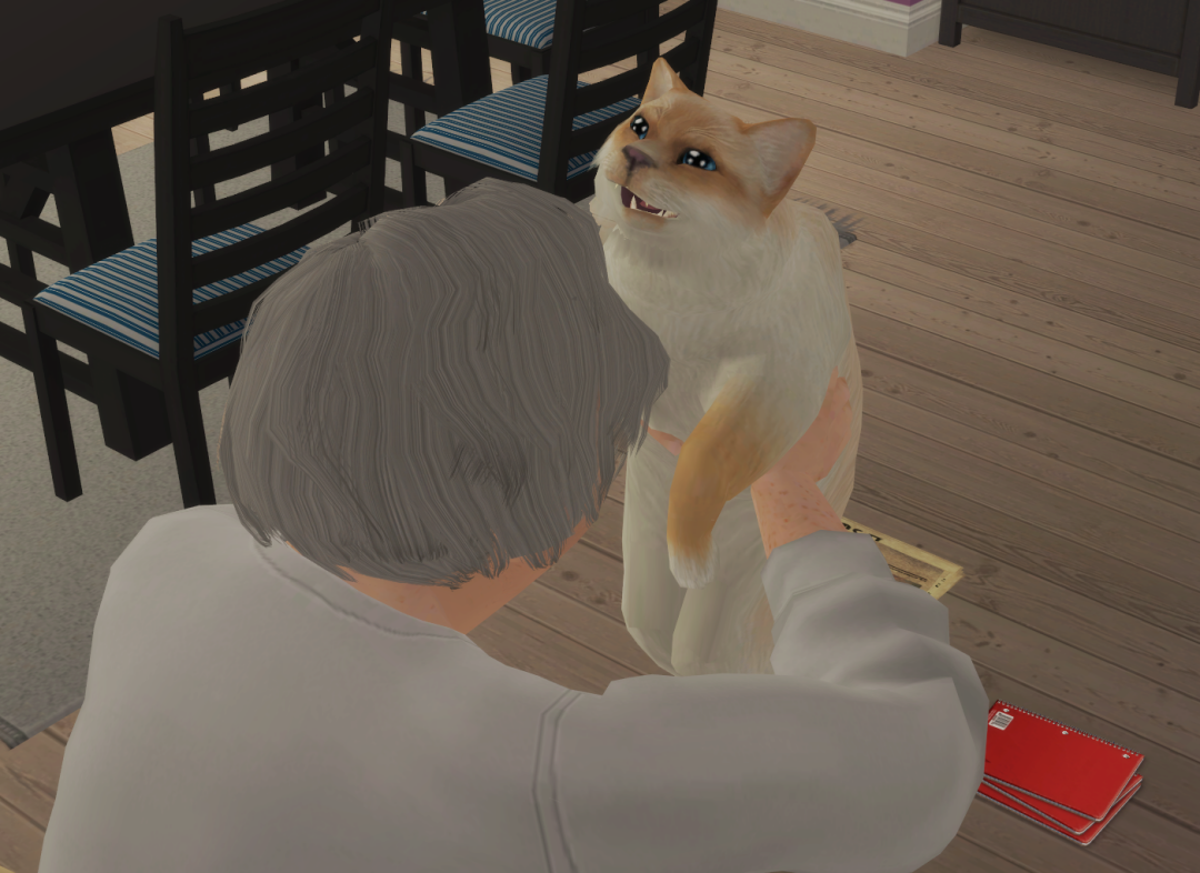 Sims2-EP9-RPC-2023-11-26-19-50-17-26