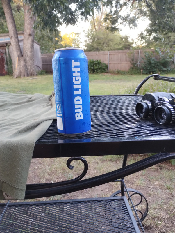 IMG_20240730_201202837