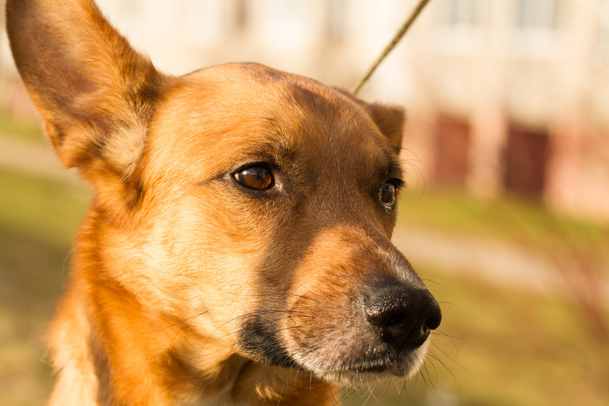 без имени-5312