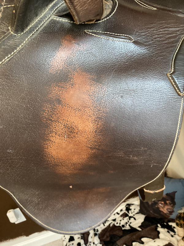 86A43E56-9F3A-482B-9DD9-80A40A3F3AD2