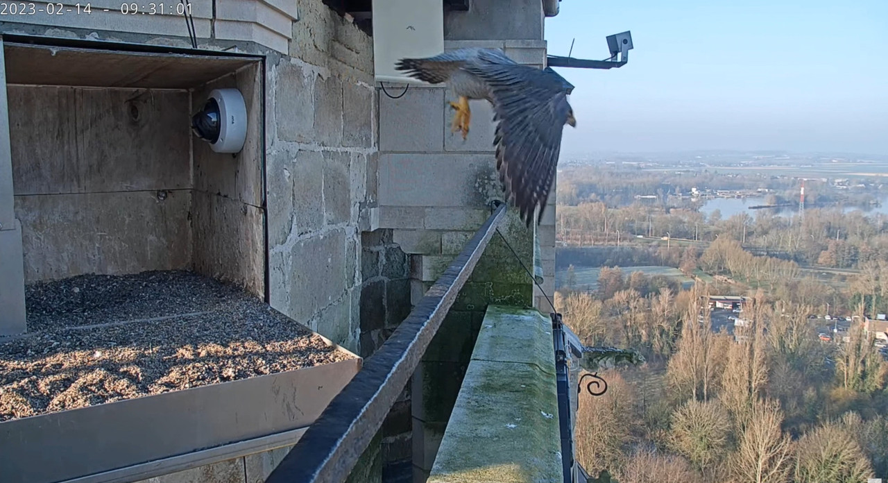 Oudenaarde. (Jay en Ula.) Bria en Grey - Pagina 2 2023-02-14-094039