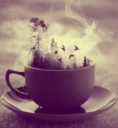 b24e9e8d67e647f097012161619e8658