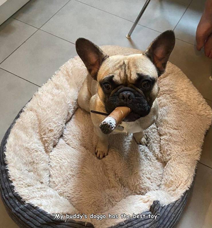 D5200549-24D3-4F9E-BF9A-97BB9828B408