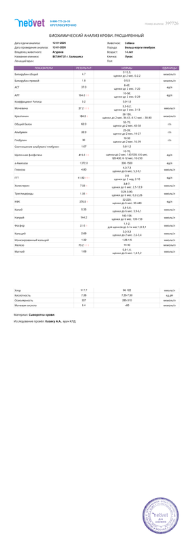 result (2)