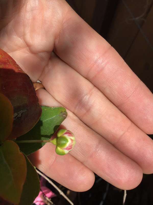 0043B474-5137-4E3C-A685-2BF42470FC8A