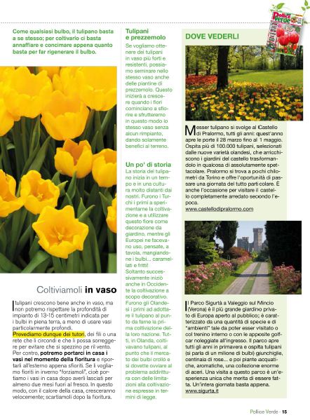 Pol Verde Apr 2020 (4)