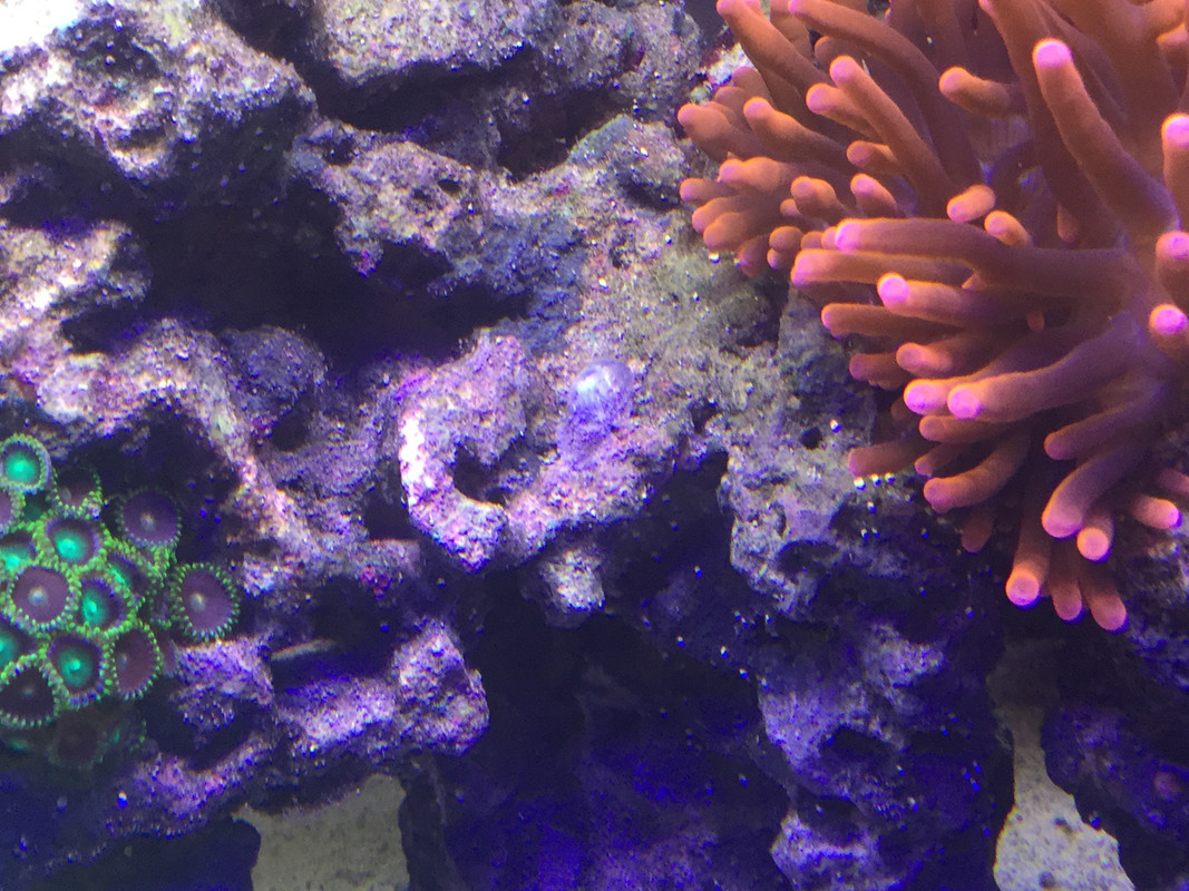 7C94E631-9B23-41DF-B910-CEB8DBDD280B