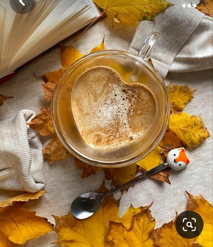 Screenshot_20231008_222257_Pinterest