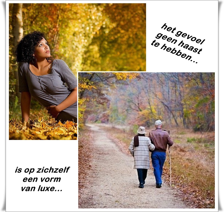 Klik op de afbeelding om de link te volgen