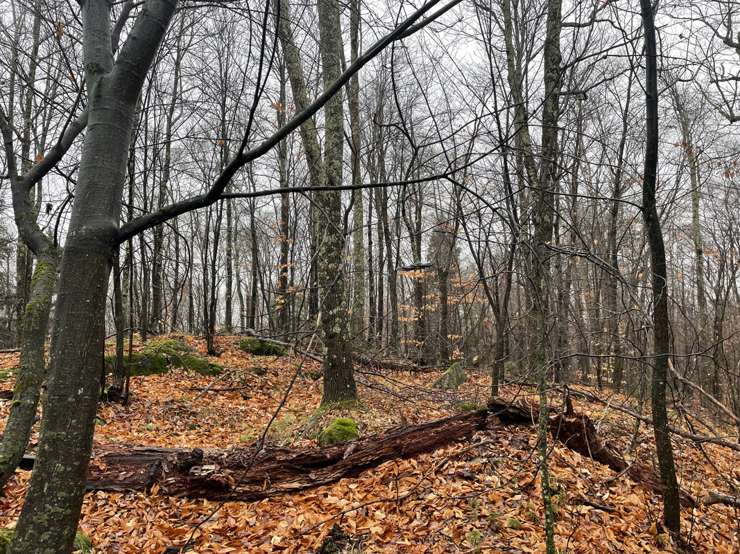 285CC0A3-A2D2-4BCA-98FA-6262AA8ECE3B