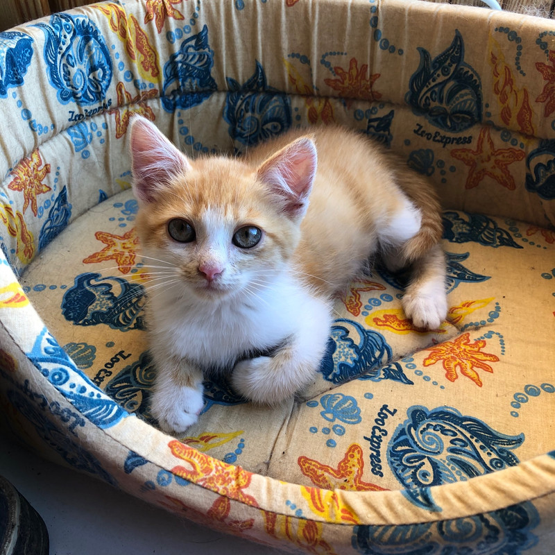 11C153F6-E939-438E-88C4-366A37BABBD2