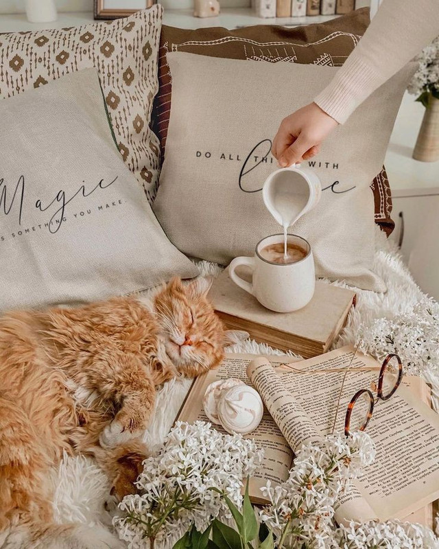 52845eac6c343f1e0438766a0c37cf6e