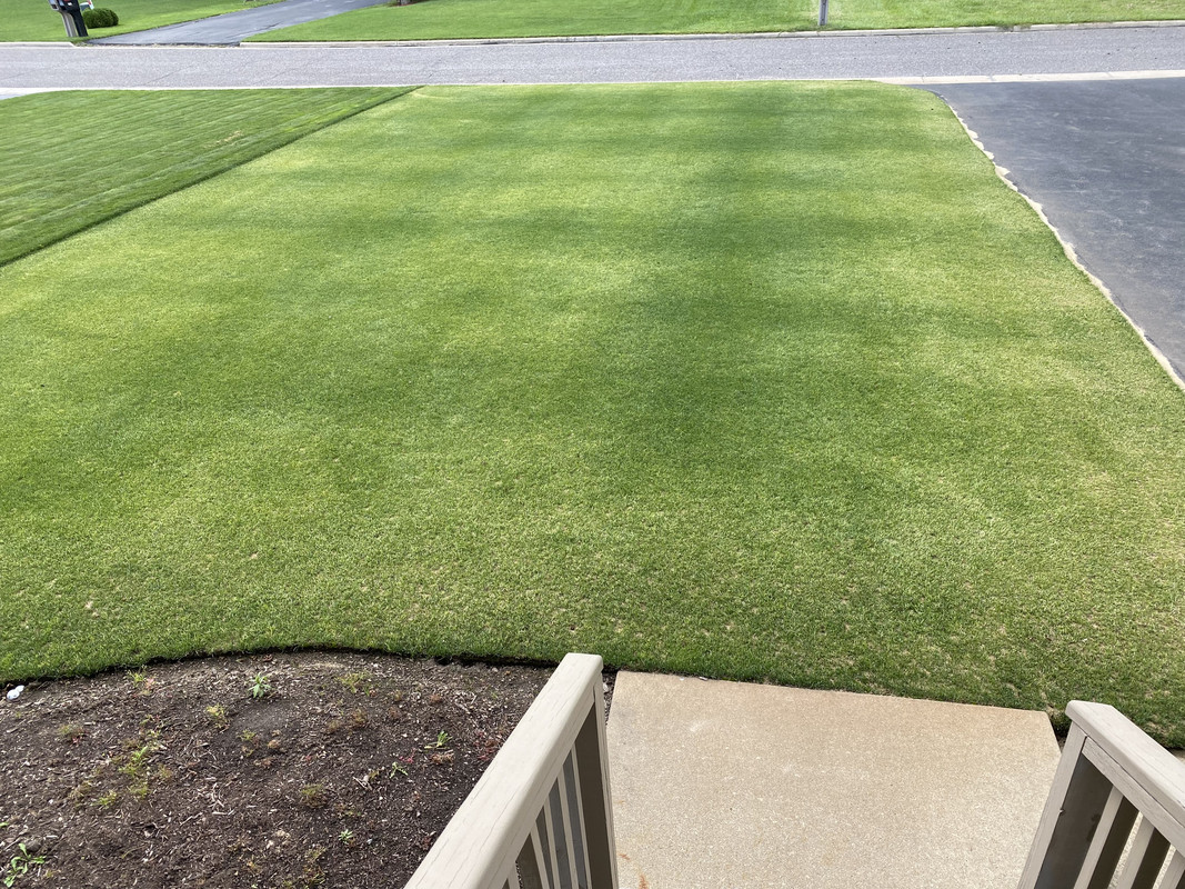 B5126D77-54EE-4B20-89E8-314478B634DF