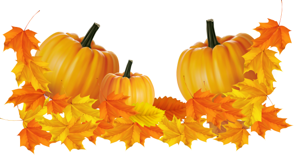 Indian Summer24