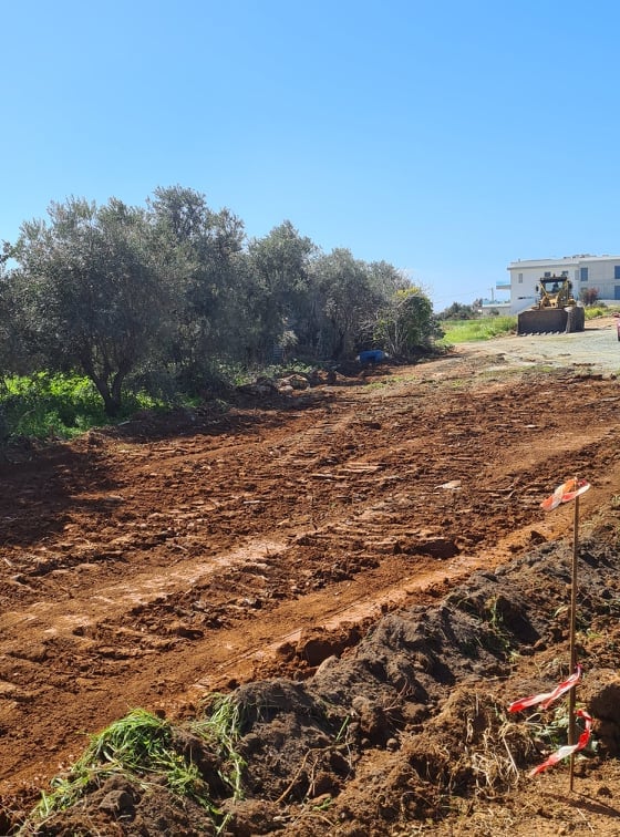 167240039-5138965509507558-797931068986224213-n