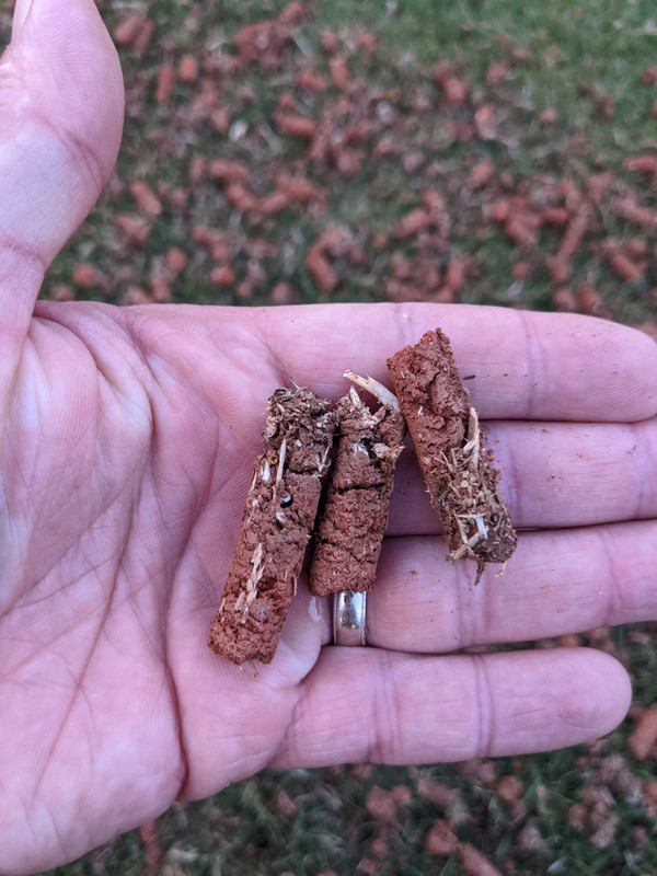 PXL_20210602_003031314