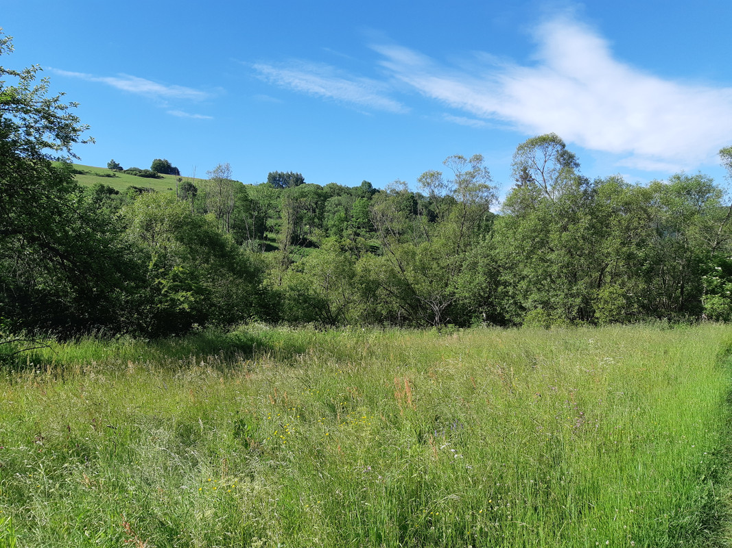 07.20 - 20220618_162711 (PiTT)