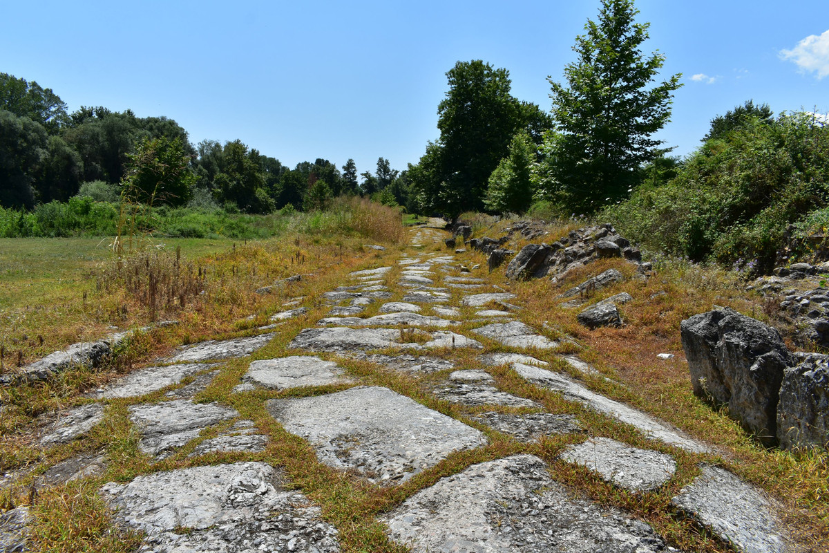 Αρχαιολογικό πάρκο Δίον
