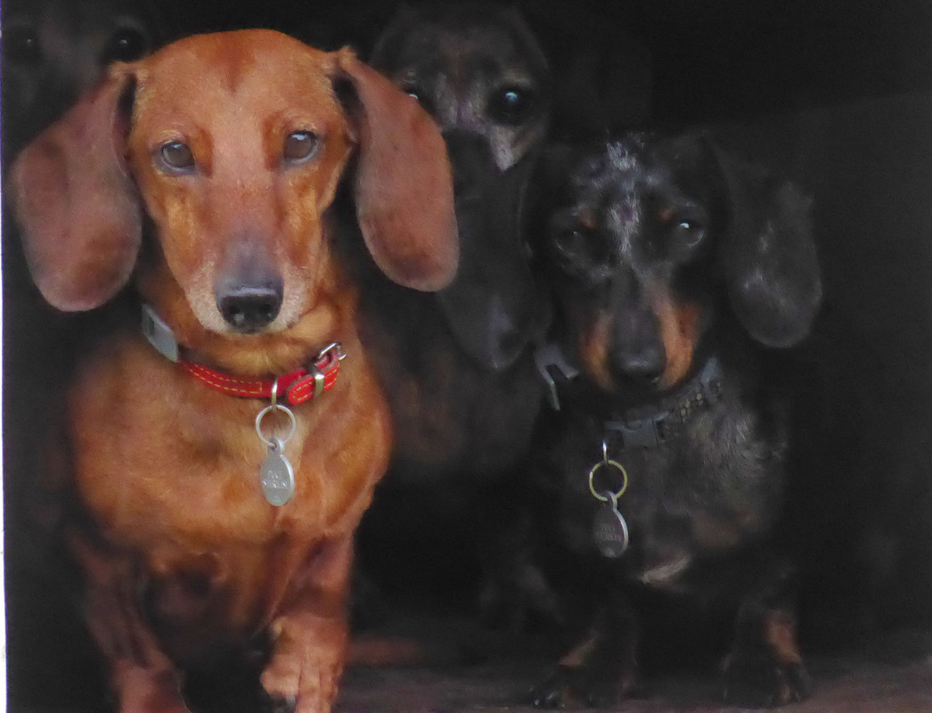 [Image: P1030939.jpg]