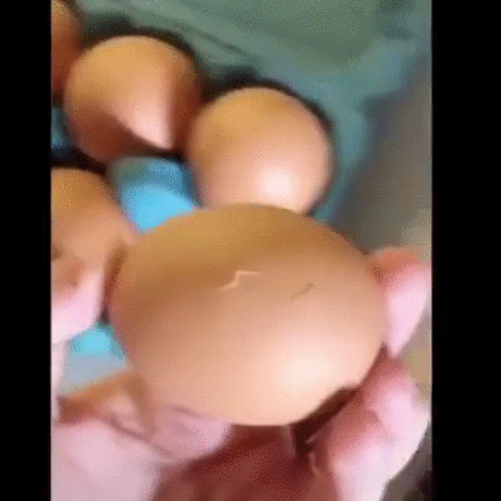 https://i.postimg.cc/2SFWxtrZ/5.gif
