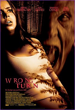 Droga bez powrotu / Wrong Turn (2003) PL.BRRip.XviD-GR4PE / Lektor PL 