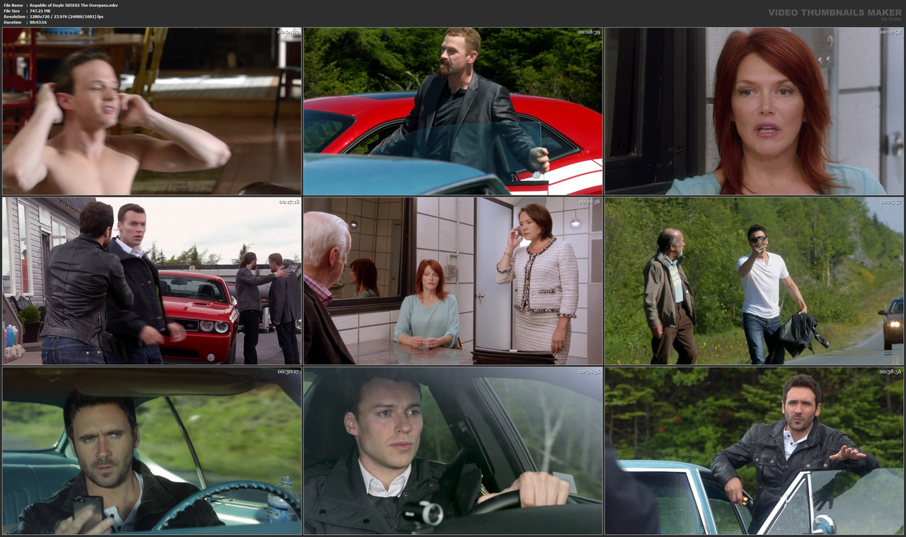Republic of Doyle S05E02 The Overpass.mkv