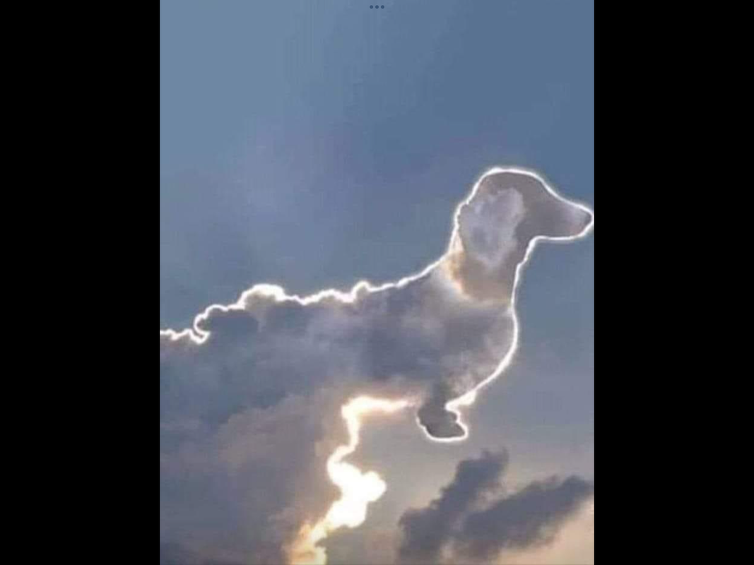 [Image: IMG-0267.png]