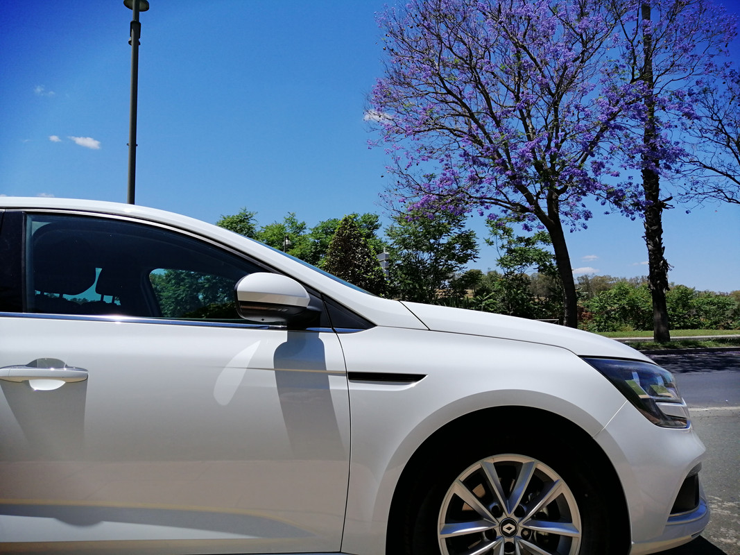 megane y jacaranda