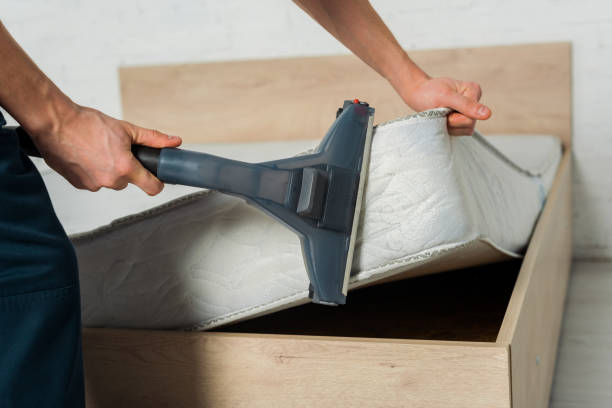 Furniture Cleaning
